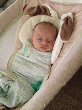 Taking a little snooze in the Rock 'n Play, swaddled in his sleepsack, paci never too far away.